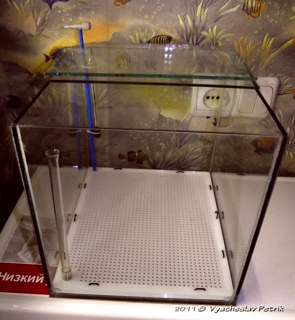 DSCF2129.jpg